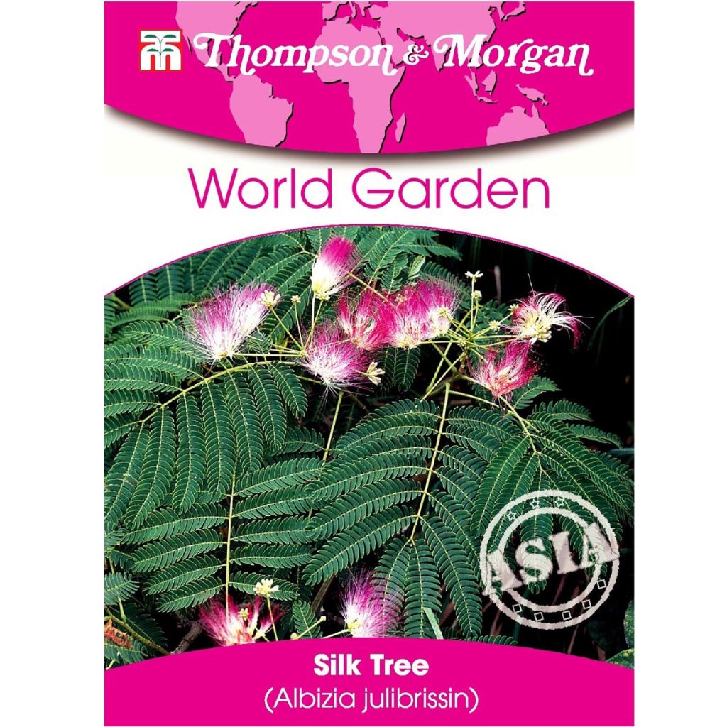 Albizia julibrissin - Silk Tree