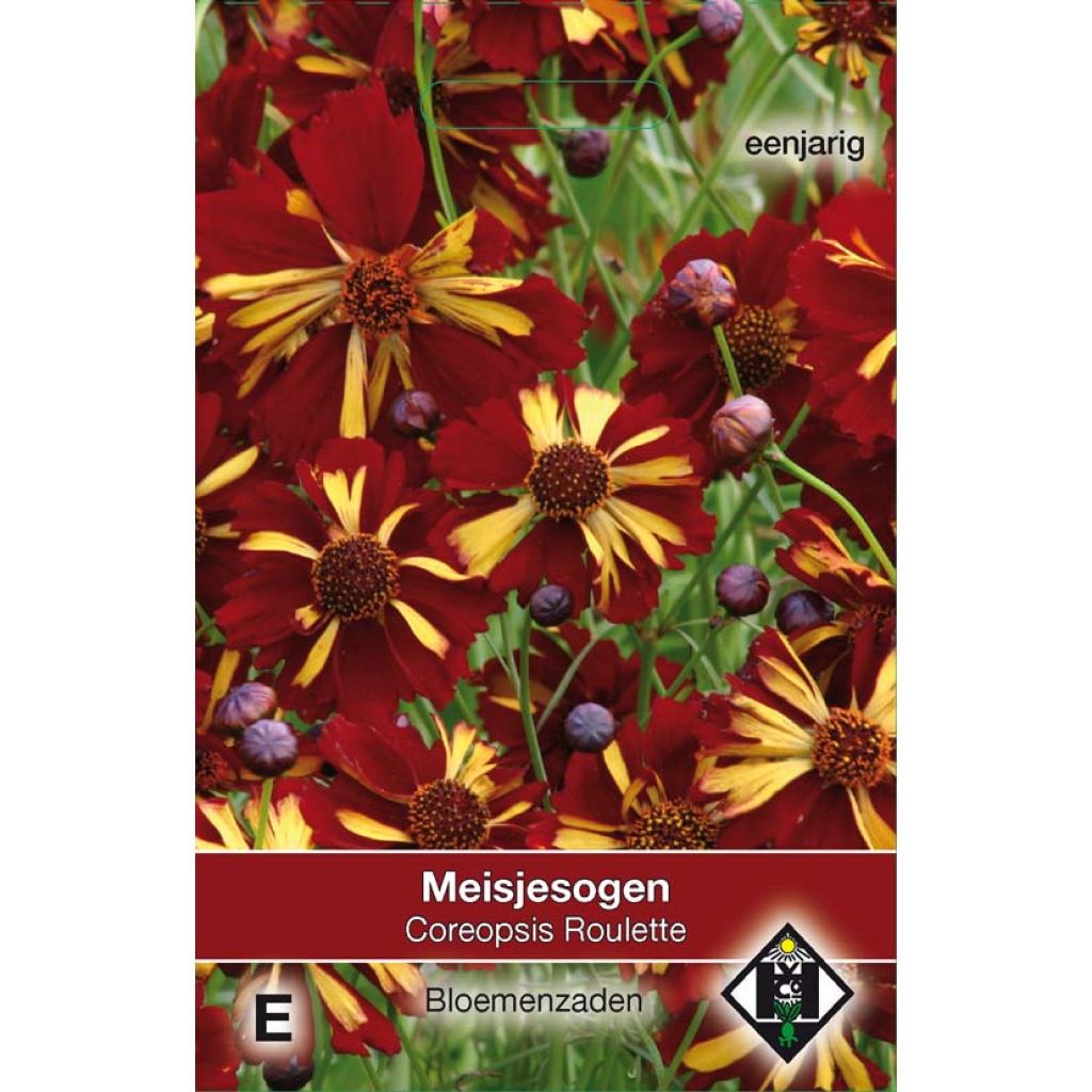 Coreopsis tinctoria Roulette