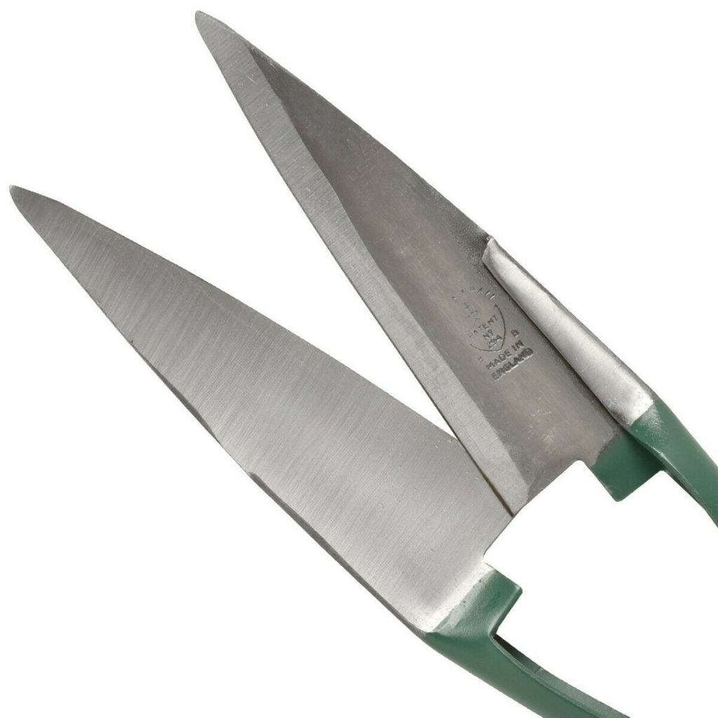 Large Burgon & Ball boxwood shears - RHS Range