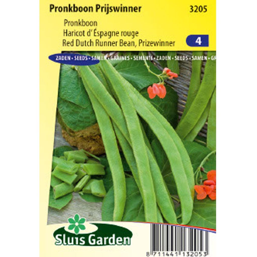 Runner Bean Prijswinner - Dutch Red