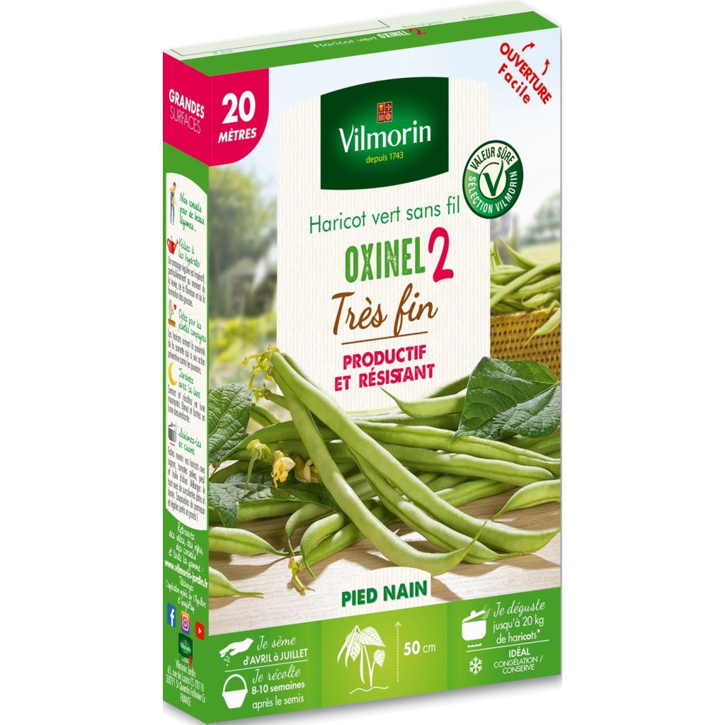 Dwarf Filet Bean Oxinel 2 - Vilmorin Seeds