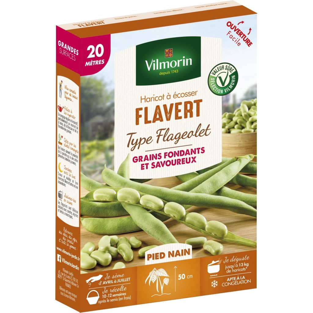 Bush Dry Bean Flageolet Flavert - Vilmorin Seeds
