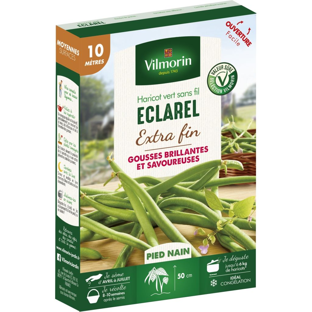 Dwarf Filet Bean Eclarel - Vilmorin Seeds