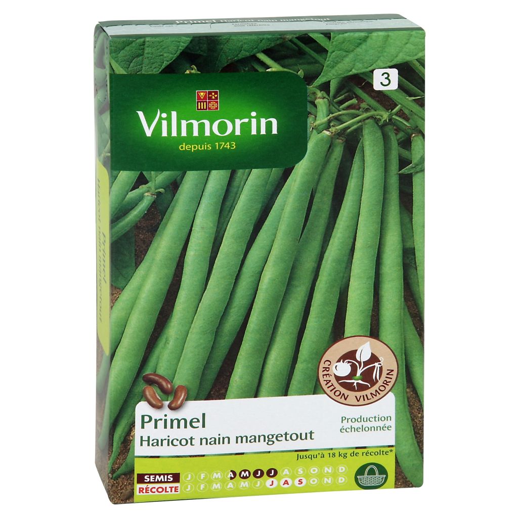 Dwarf French Bean Primel - Vilmorin Seeds