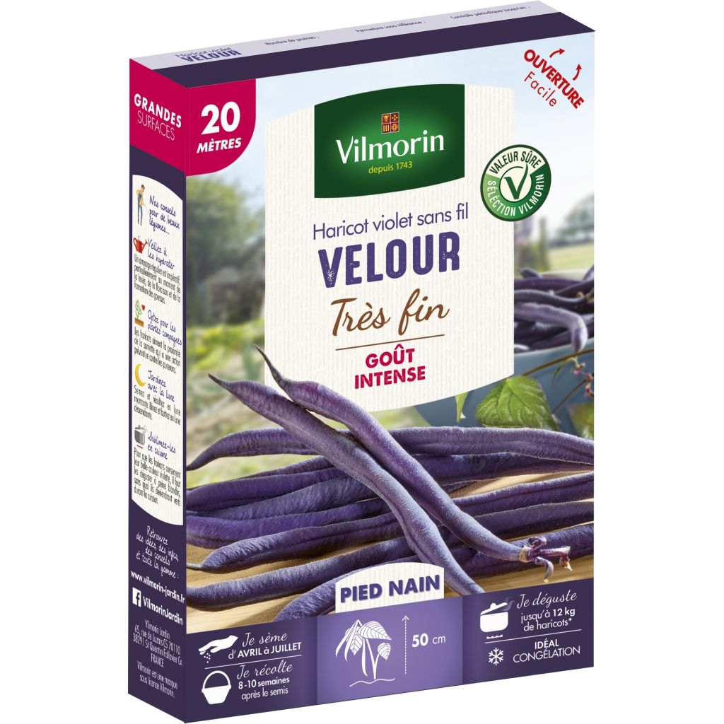 Dwarf French Bean Velour - Vilmorin Seeds