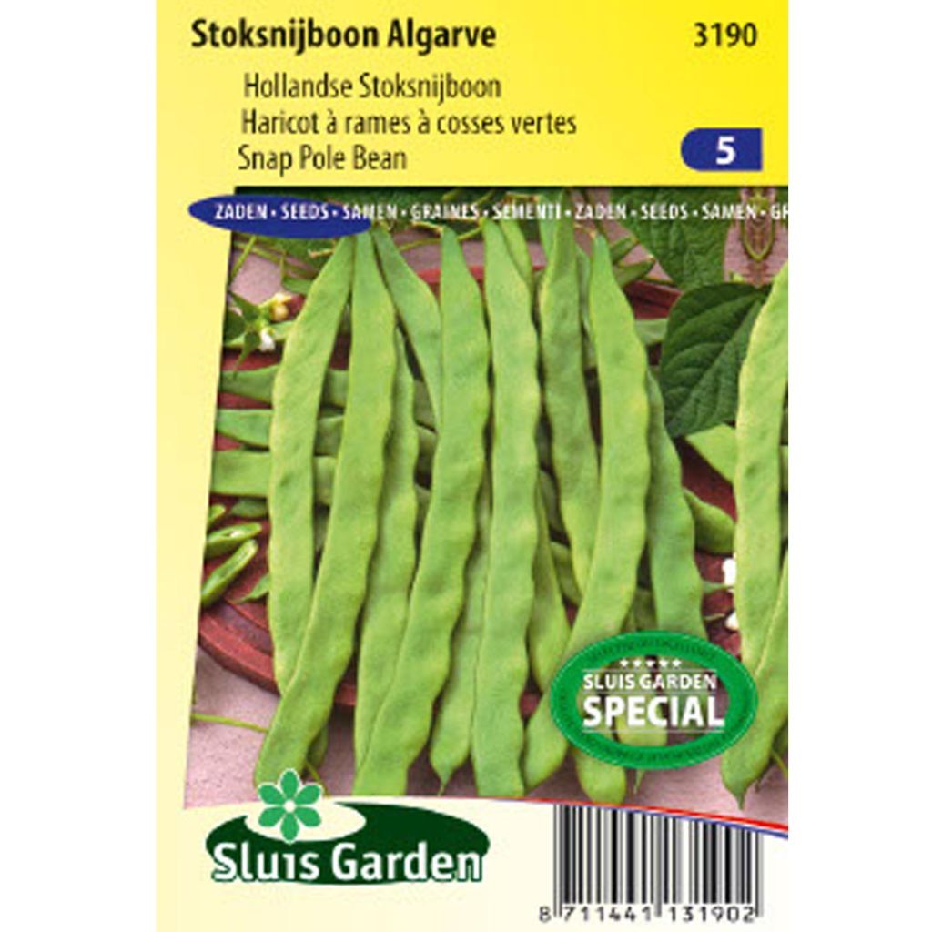 French Pole Bean Algarve