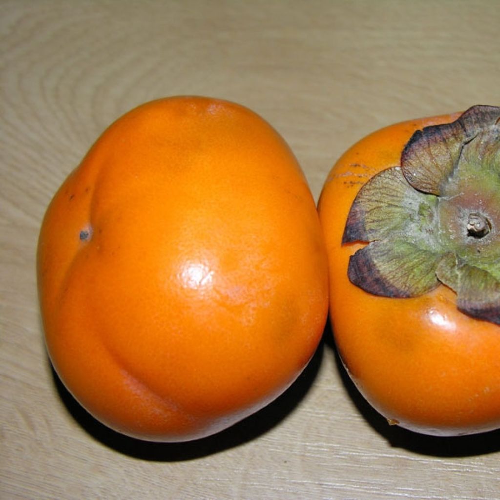 Diospyros kaki Fuyu - Persimmon