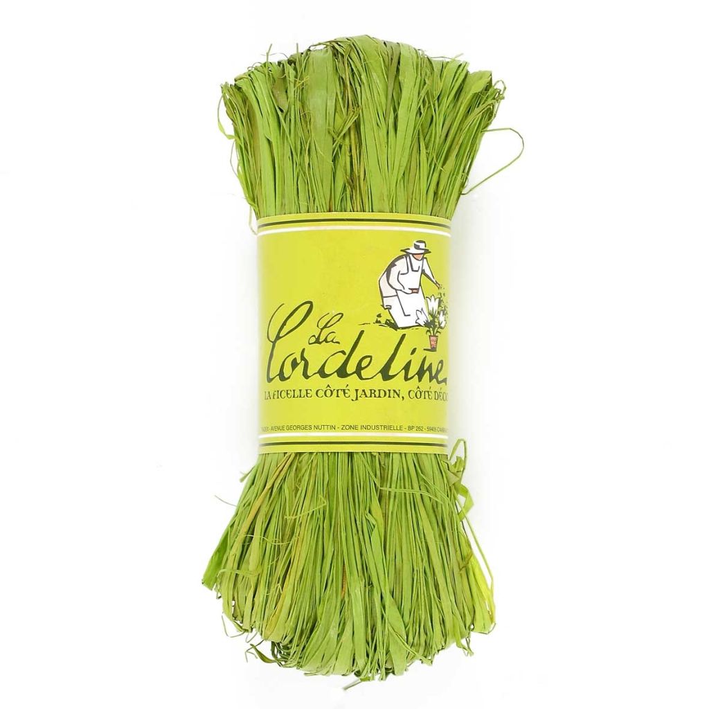 50g Raffia from The Cordeline
