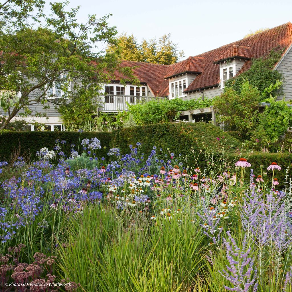 Cottage garden