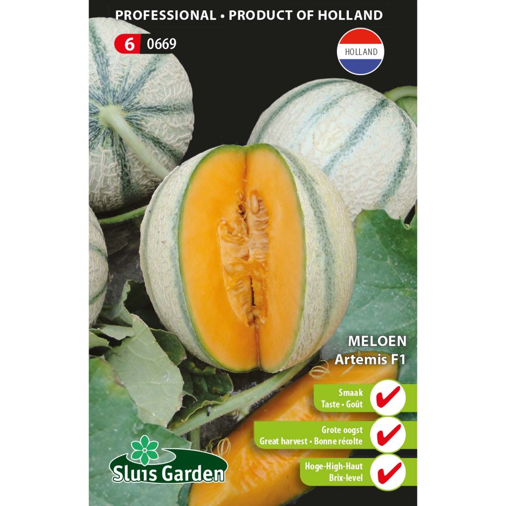 Charentais Melon Artemis F1