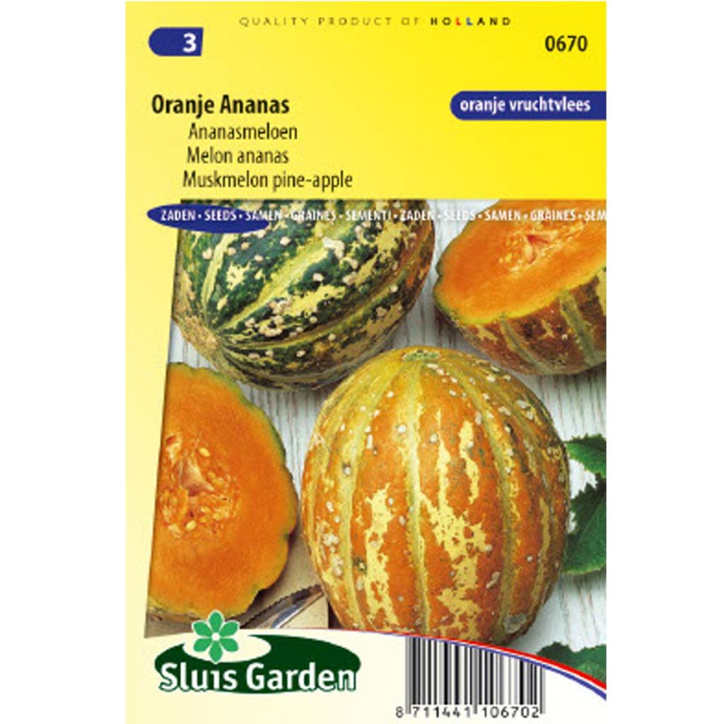 Cucumis melo Orange Pineapple