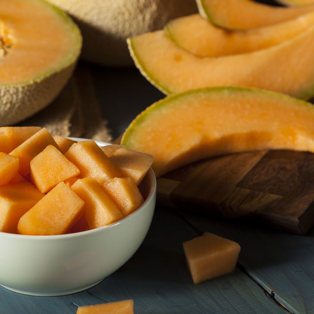 Melon Figaro F1 - Cucumis melo