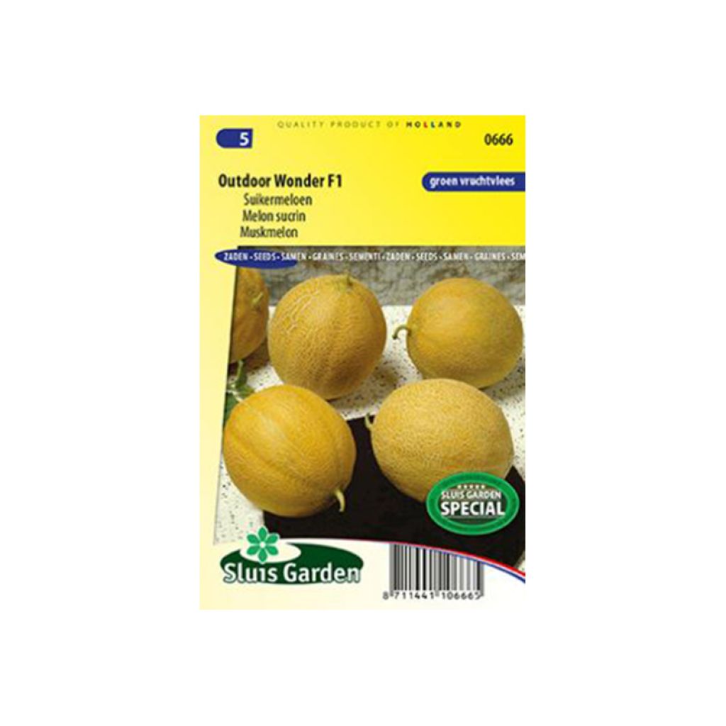 Melon Polidor F1 - Cucumis melo