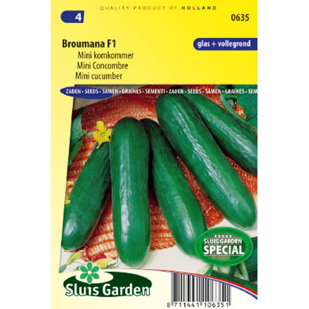 Mini Cucumber Broumana F1
