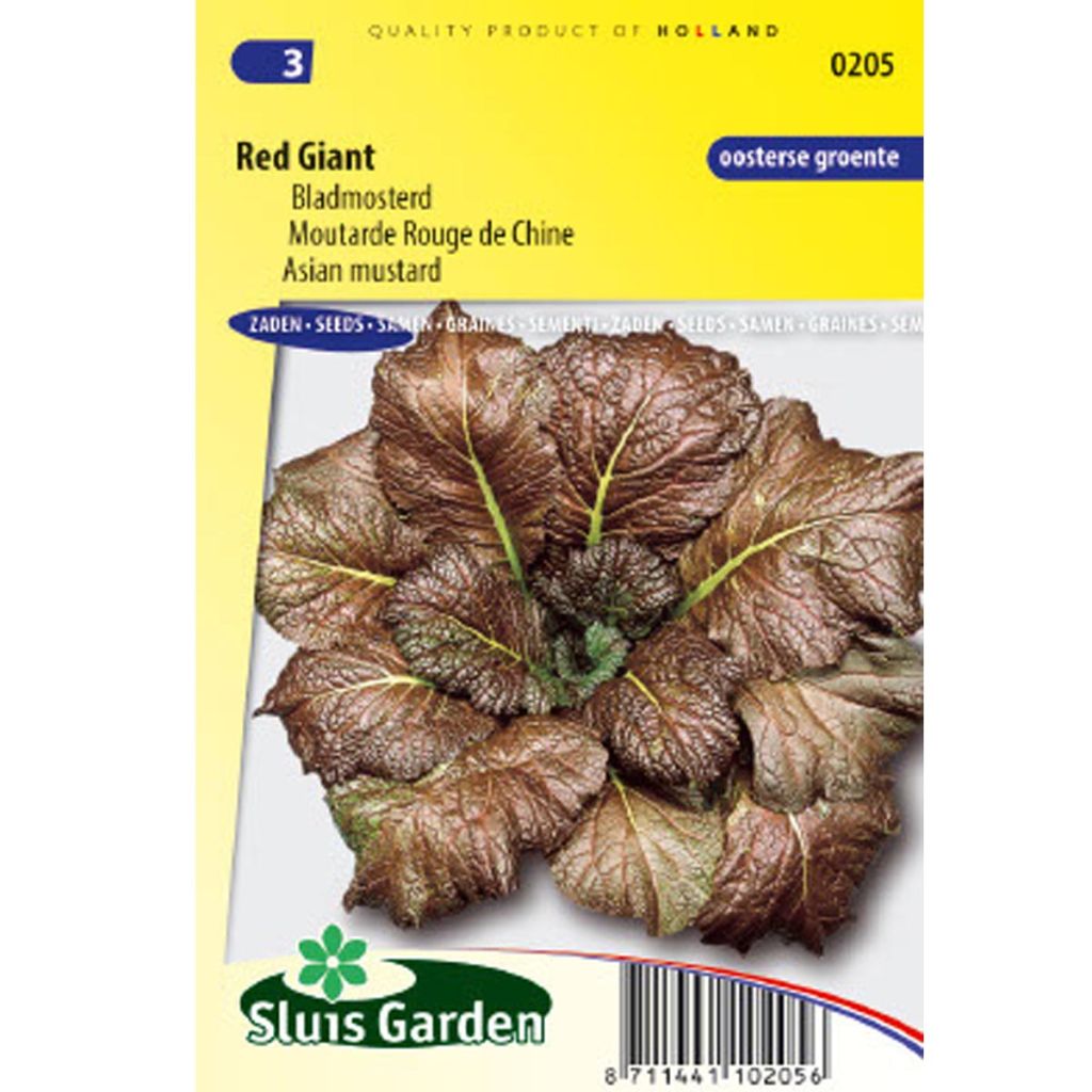 Chinese Red Giant Mustard - Brassica juncea