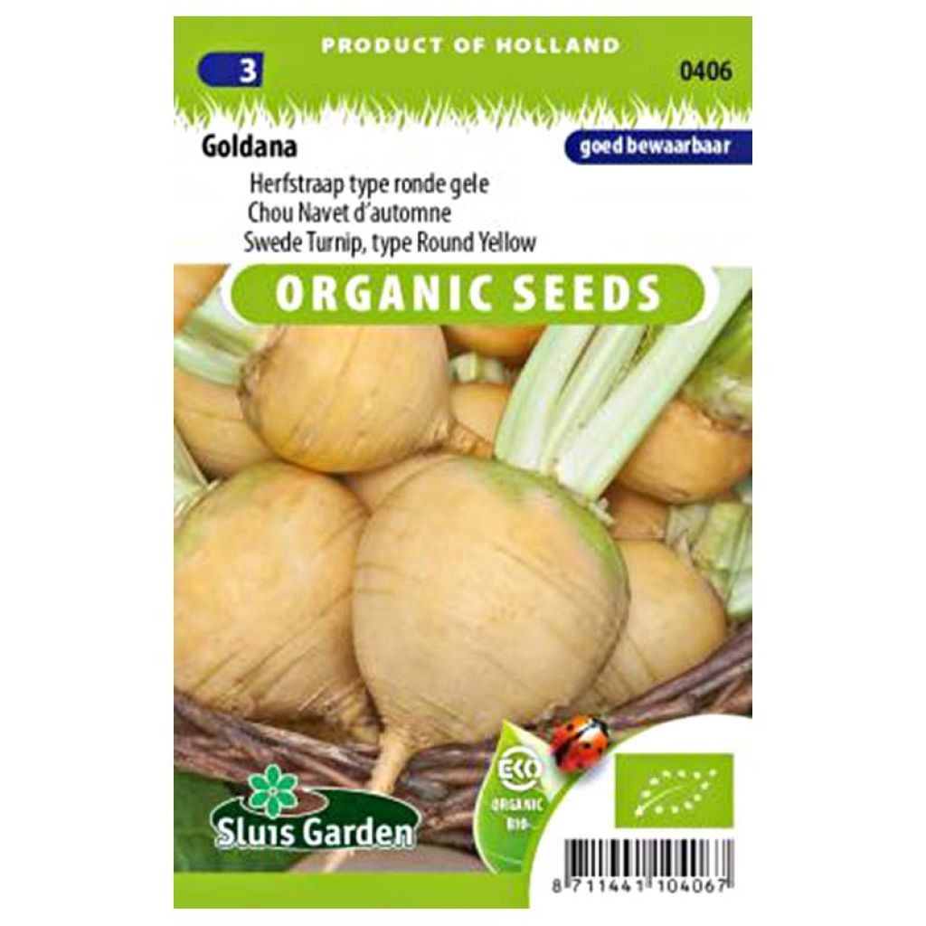 Turnip Goldana