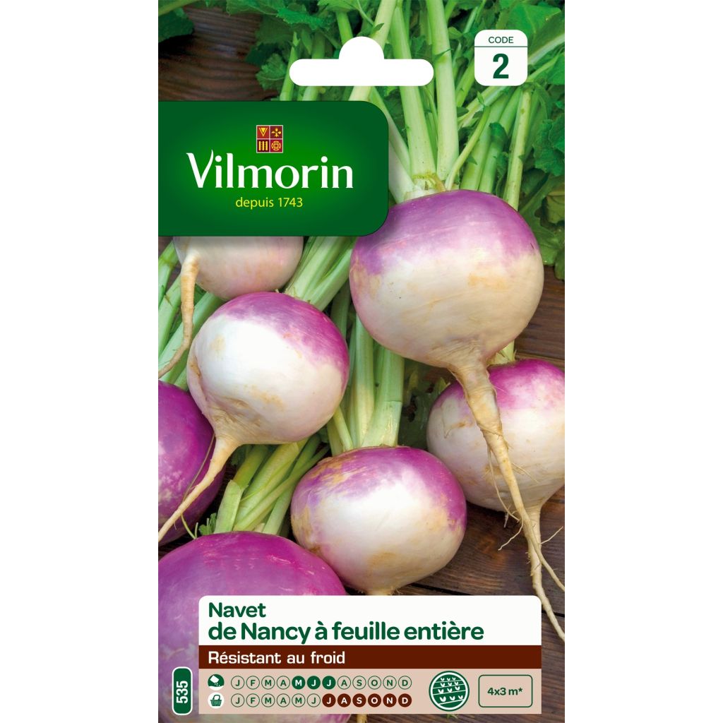Turnip De Nancy - Vilmorin Seeds