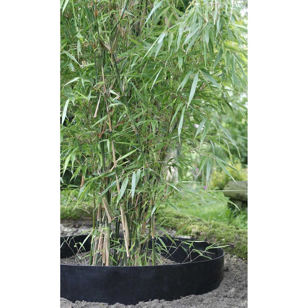Stop Bamboo anti-rhizome barrier STOP-R HDPE 0.75 x 25 metres