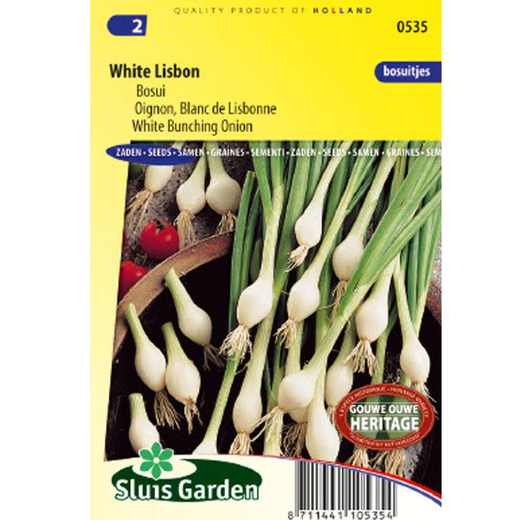 Onion White Lisbon