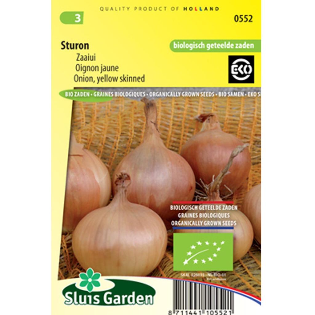 Onion Sturon