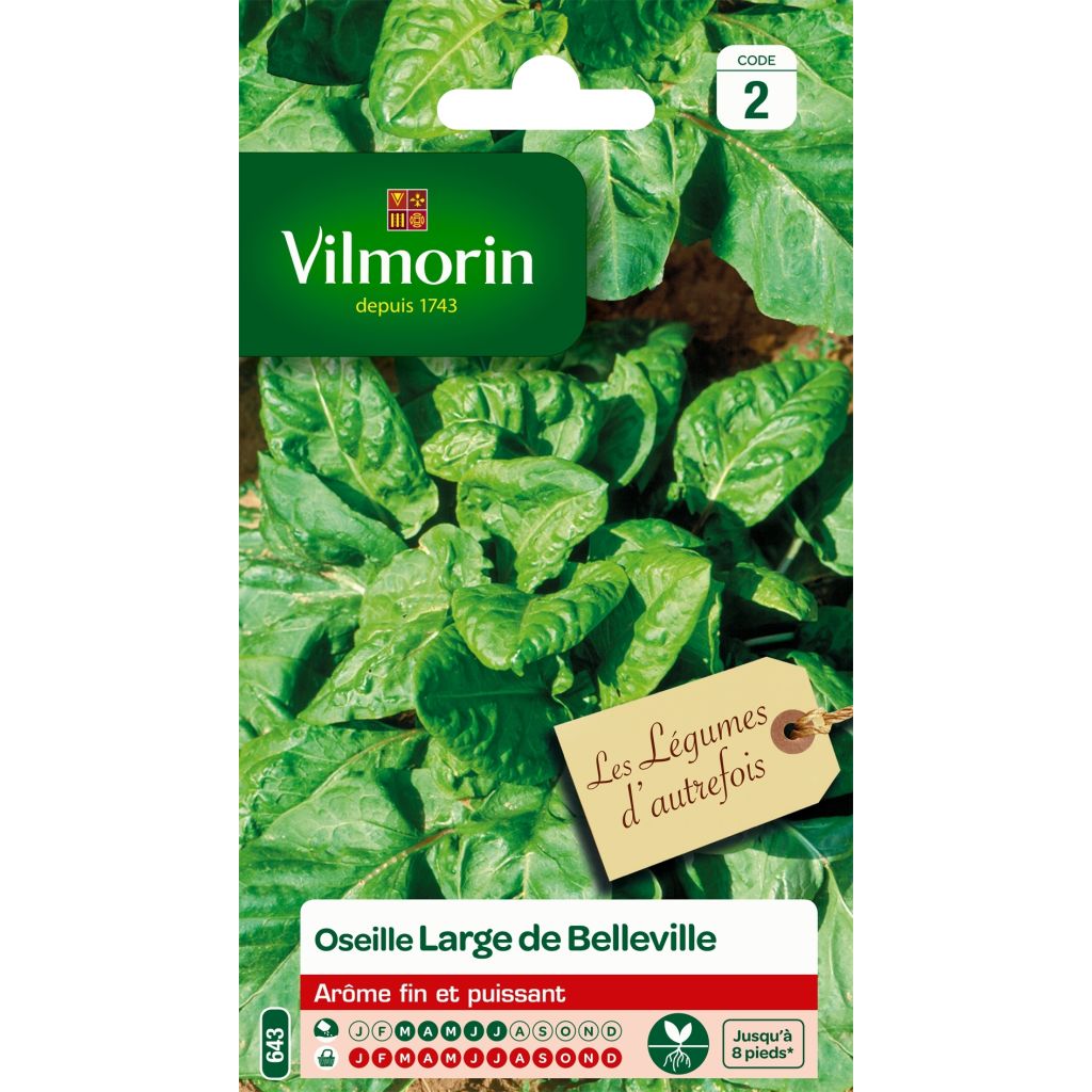 Rumex acetosa Large de Belleville - Vilmorin Seeds