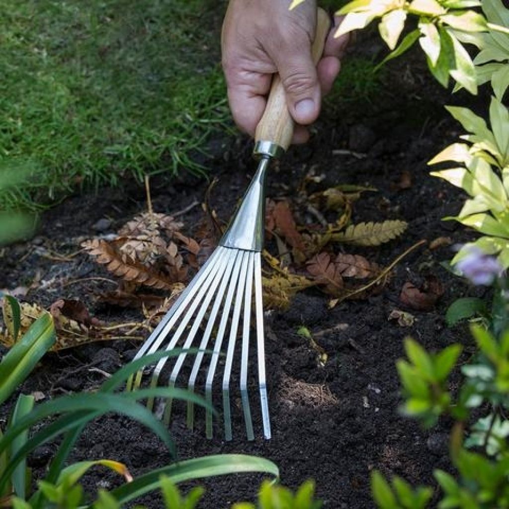 Small narrow flat wire rake with 9 tines Burgon & Ball - RHS Range