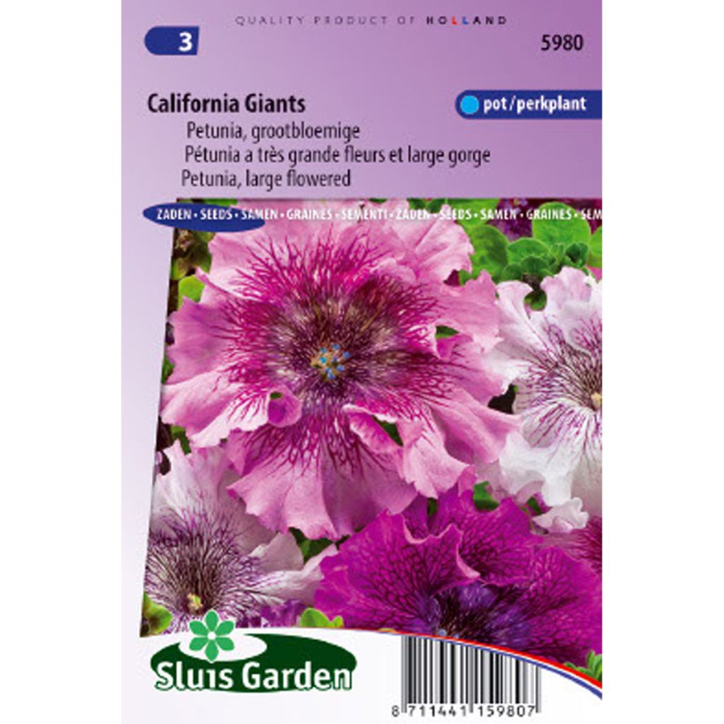 Petunia large-flowered California Giants Mix Seeds