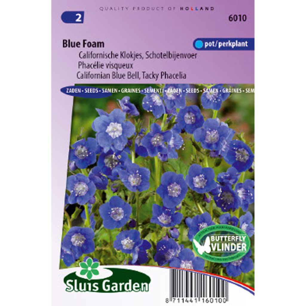 Californian Blue Bell Blue Foam Seeds - Phacelia viscida compacta