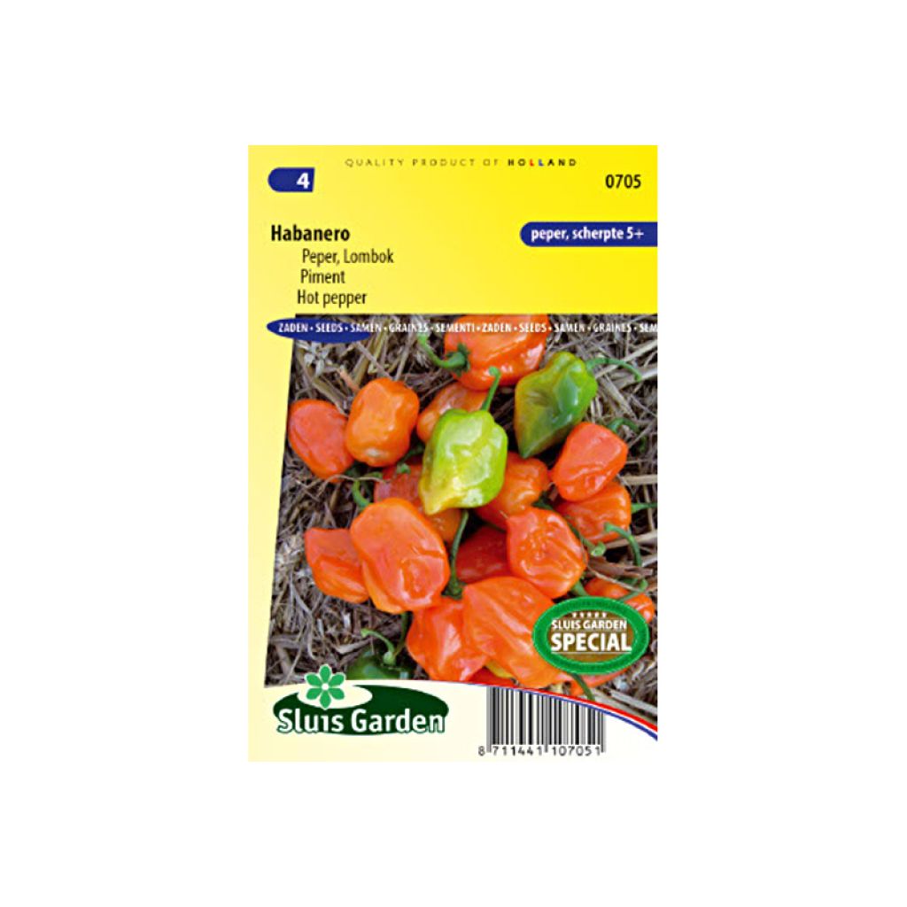 Chilli Pepper Habanero