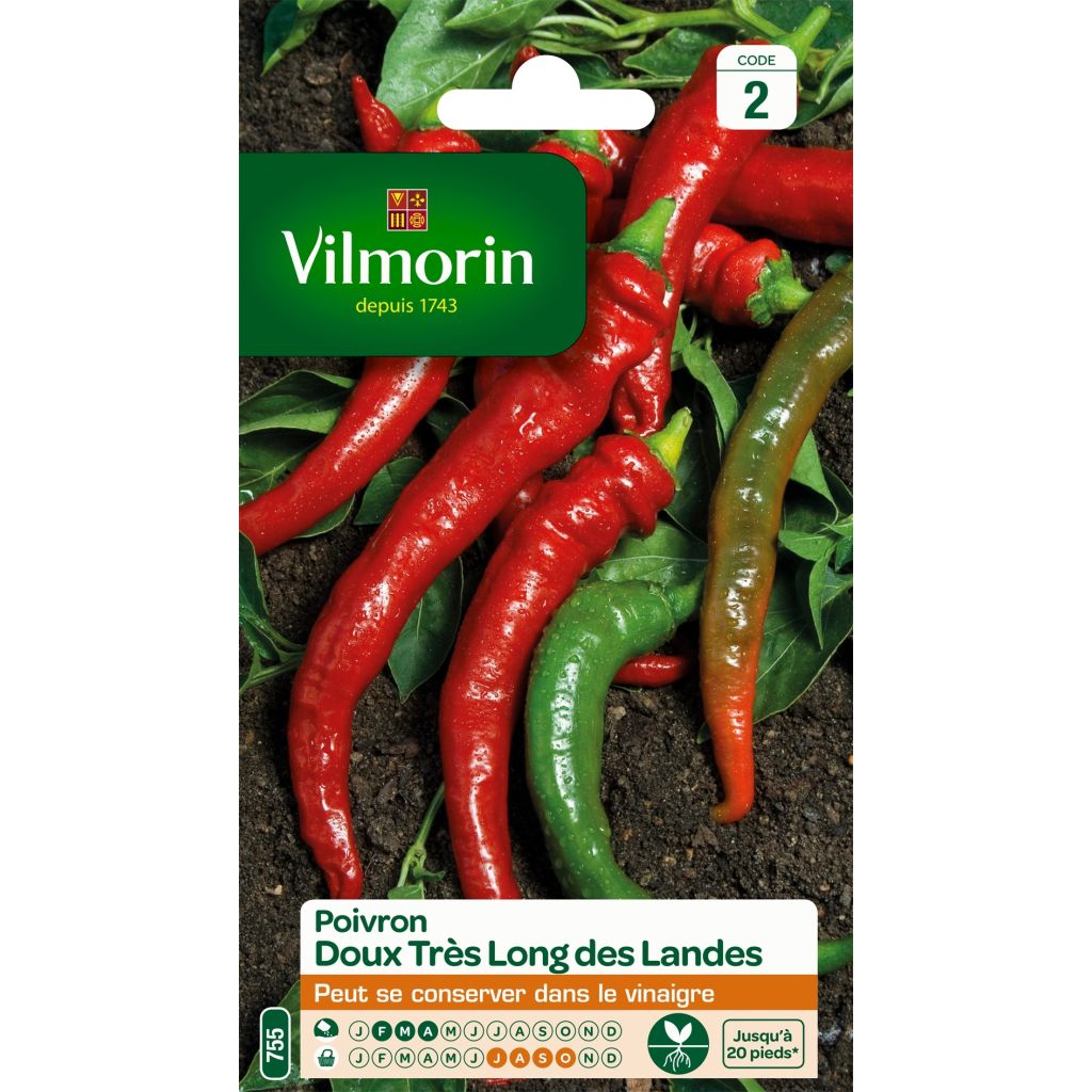 Sweet Basil - Large Leaf Italian Basil Vilmorin Seeds