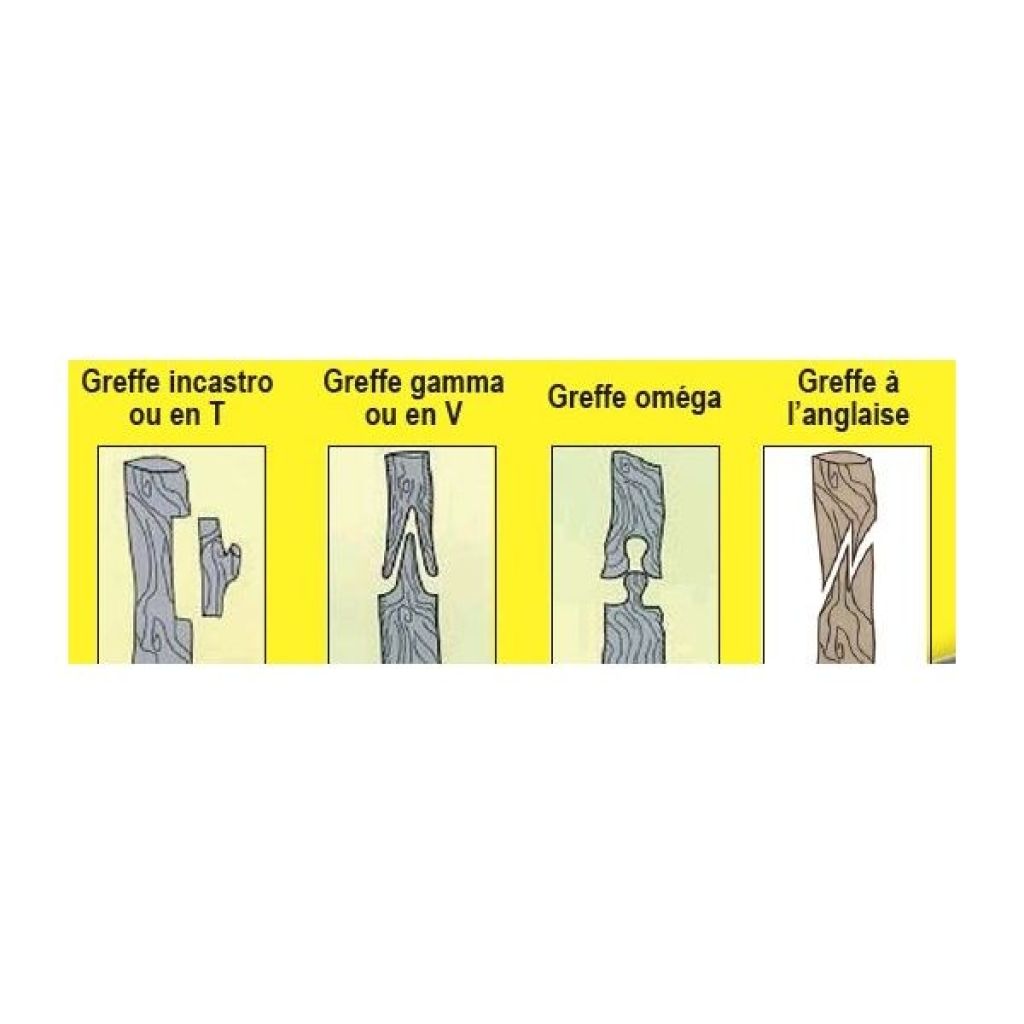 Italian grafting clip A45
