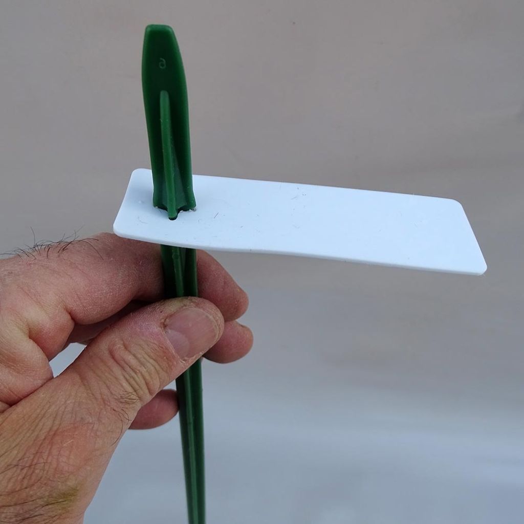 Cross stakes 42cm (17in) sold in packs of 10
