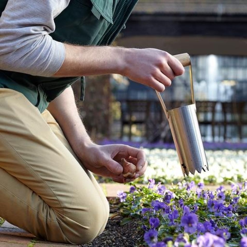 Bulb planter with handle by Burgon & Ball - RHS Range