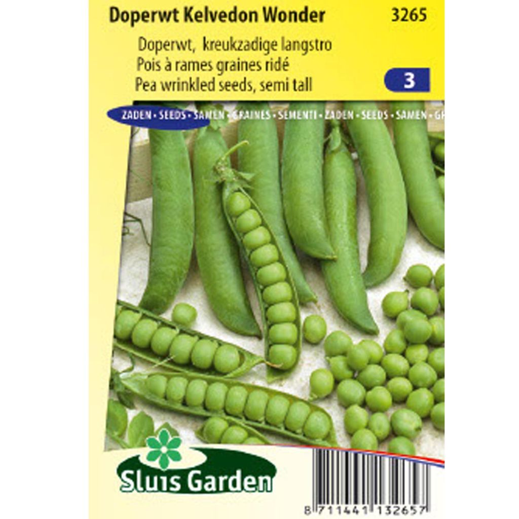 Dwarf Pea Kelvedon Wonder
