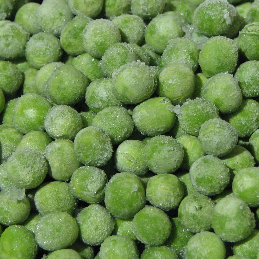 Pisum sativum Plein le panier