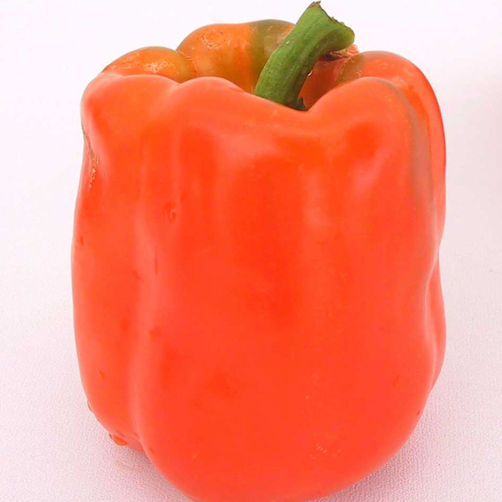 Sweet Pepper California Orange Wonder - Ferme de Sainte Marthe Seeds