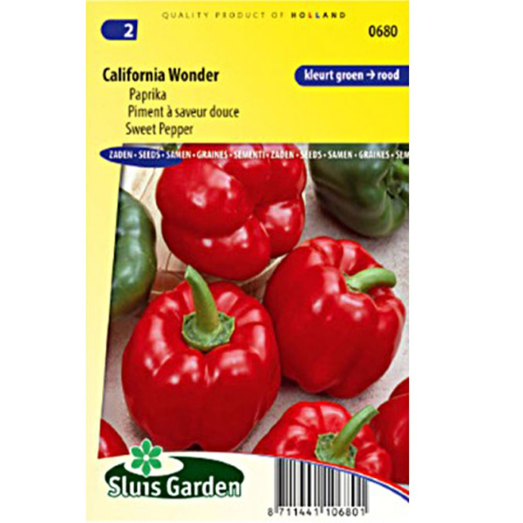 Sweet Pepper California Wonder
