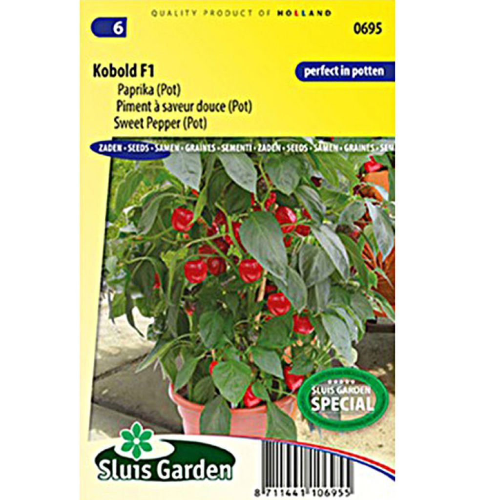 Sweet Pepper Kobold F1