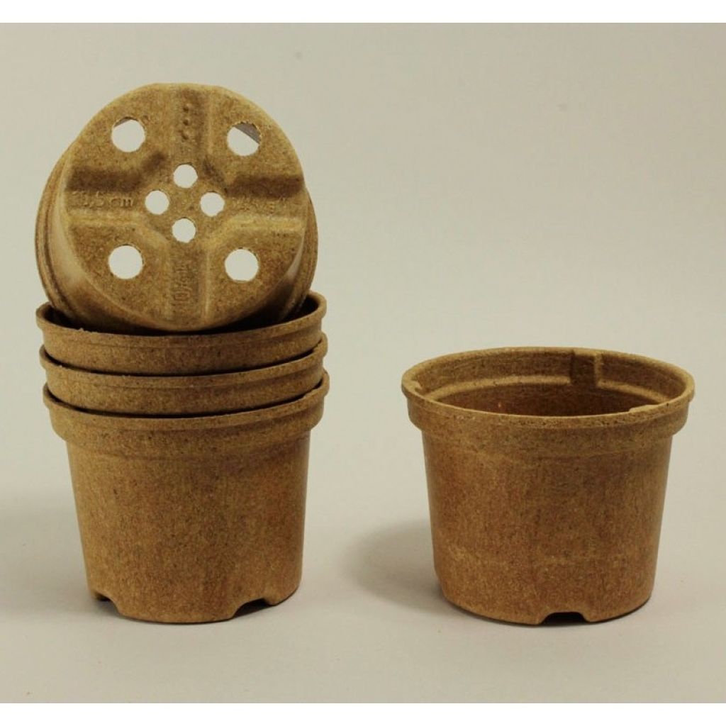 Round Biodegradable Napac Pot Ø10.5 cm (4in) - sold in packs of 5