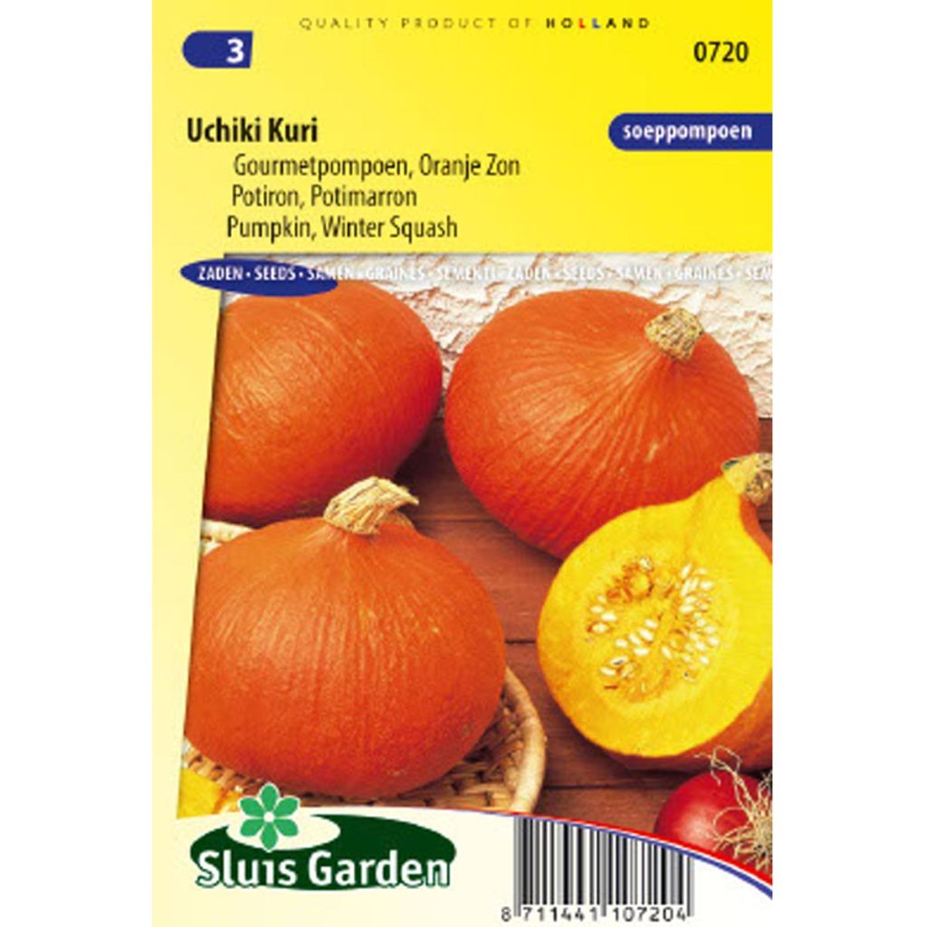 Red Kabocha Squash - Uchiki Kuri