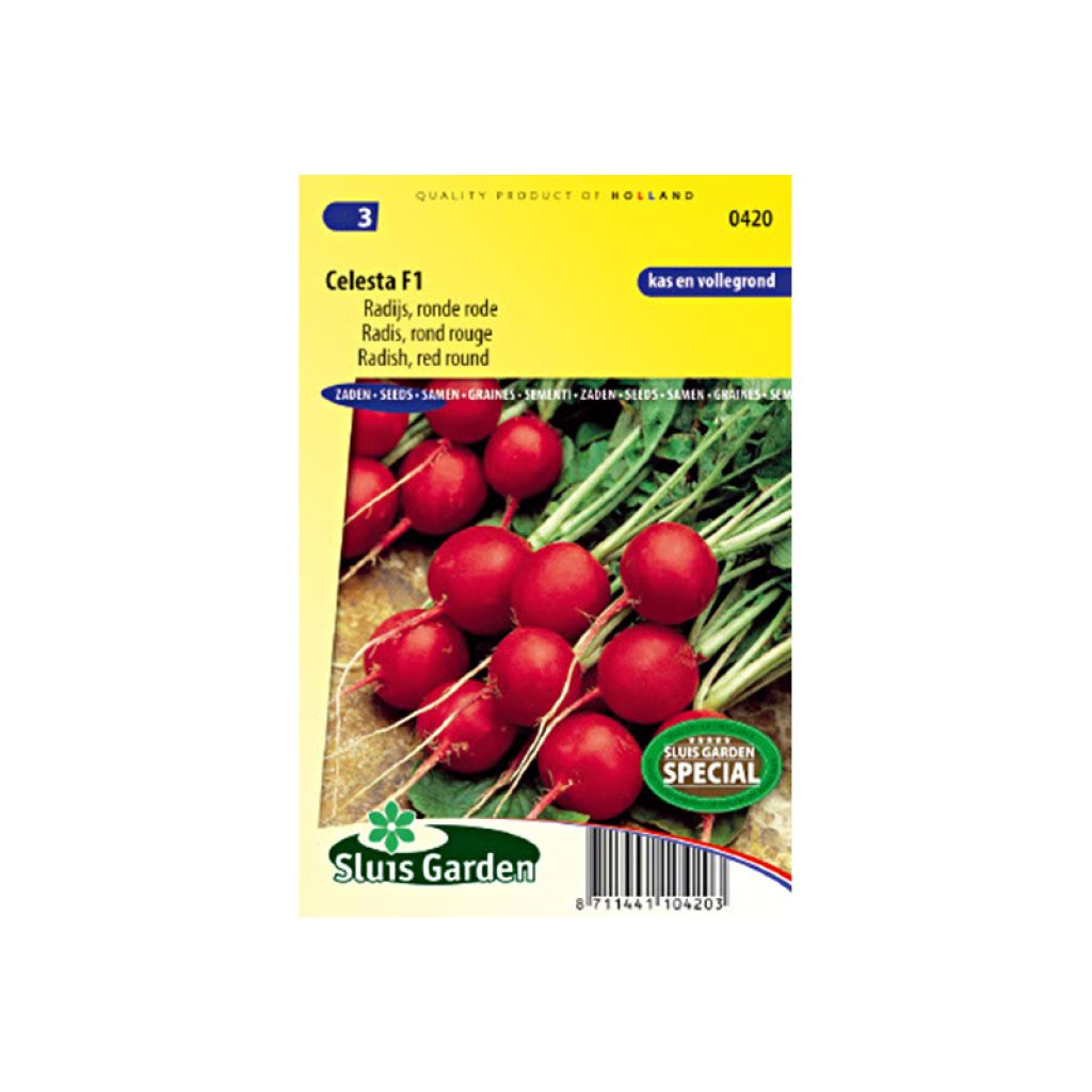 Radish Celesta F1
