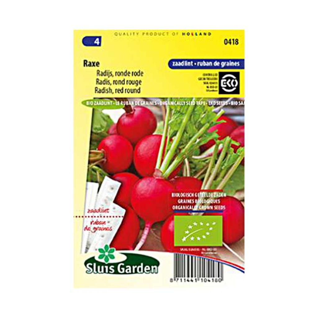 Radish Raxe