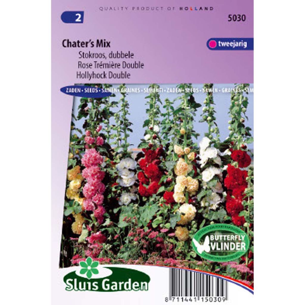 Alcea rosea Chater’s Double - Hollyhock