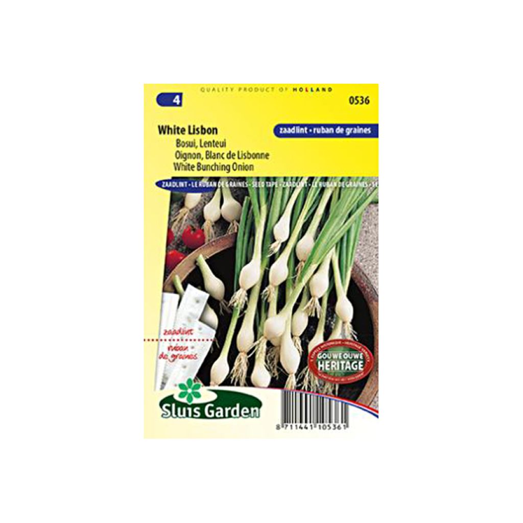 Onion White Lisbon - Seed Tape 5 m