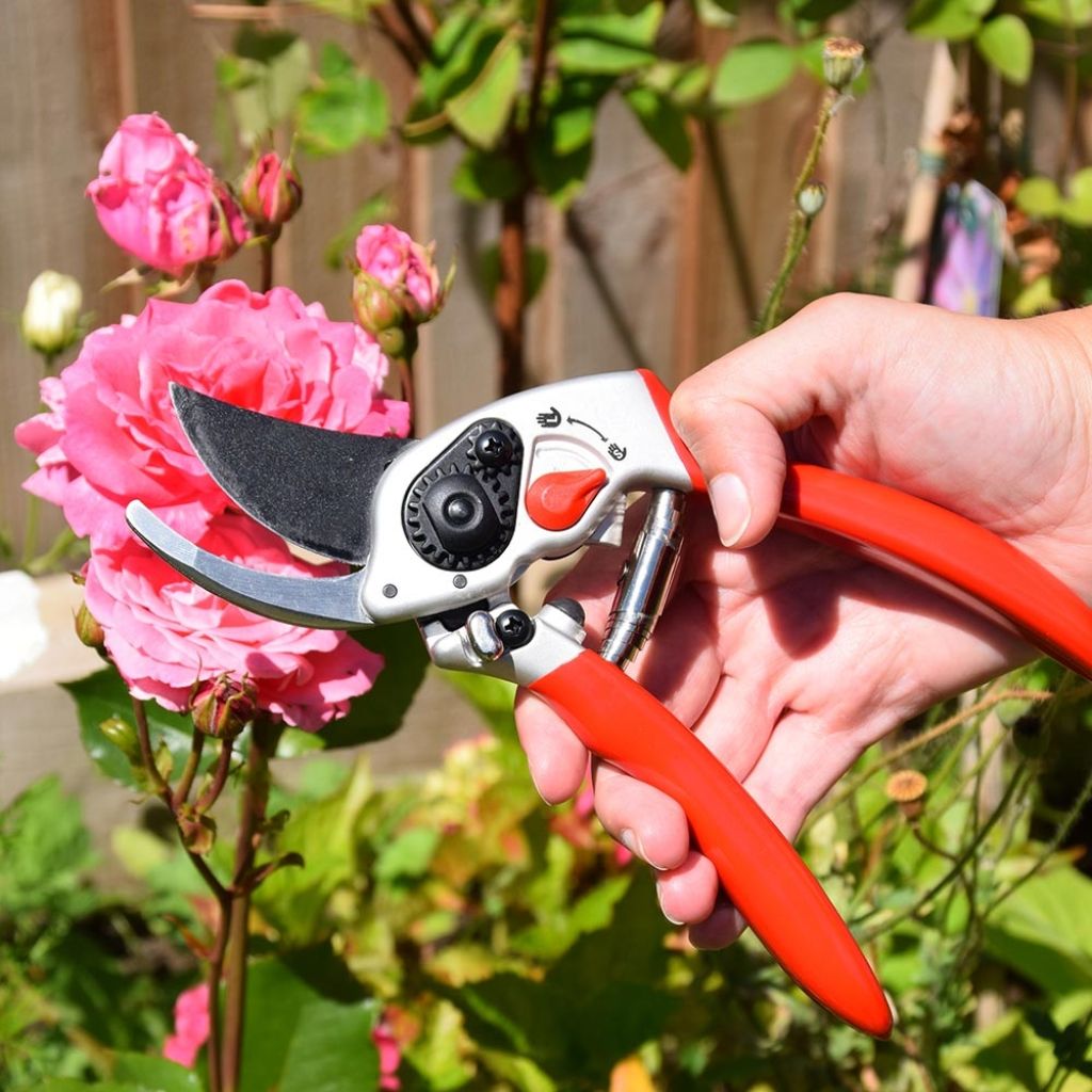 Premium aluminium bypass secateurs with wide cutting capacity by Spear & Jackson