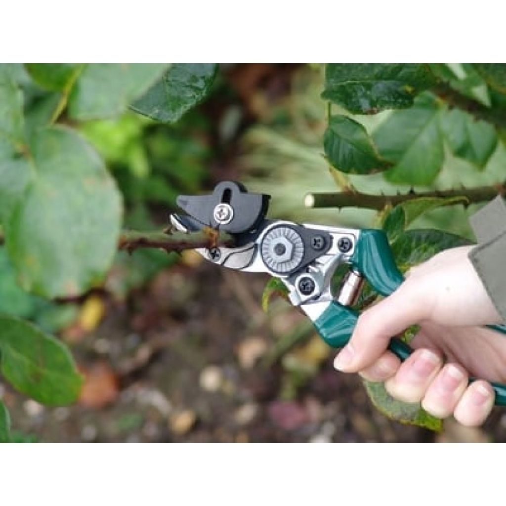 Burgon & Ball RHS Rose Pruning Secateurs