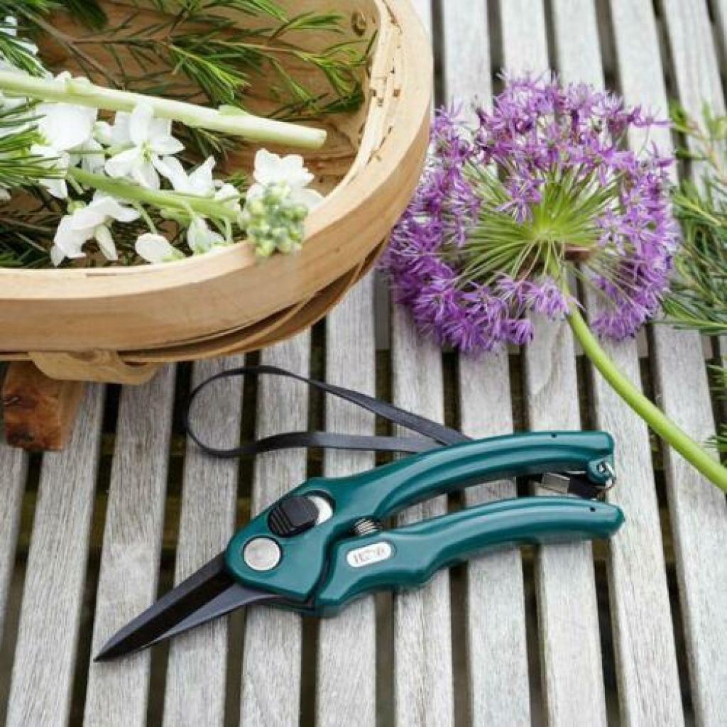 Burgon & Ball Florist's Pruner - RHS Range