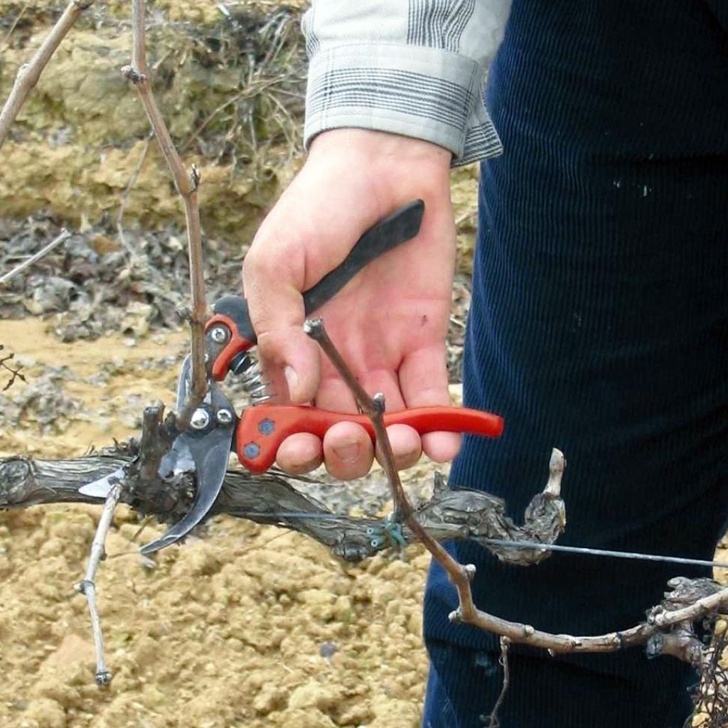 Bahco PX-S2 -Professional Ergonomic Pruning Shears - Size S - Head n°2