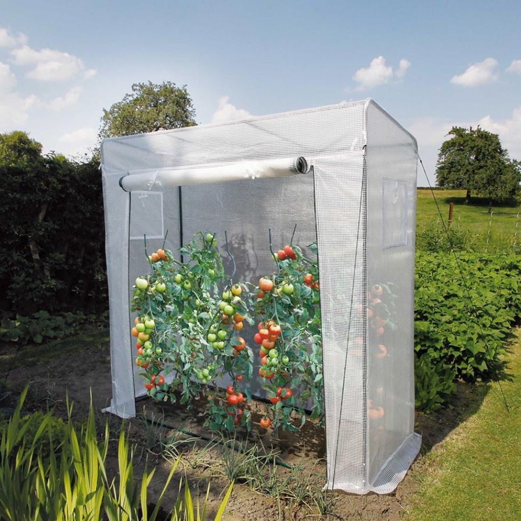 Roma Tomato Greenhouse 1.98 x 0.78 x 2 m