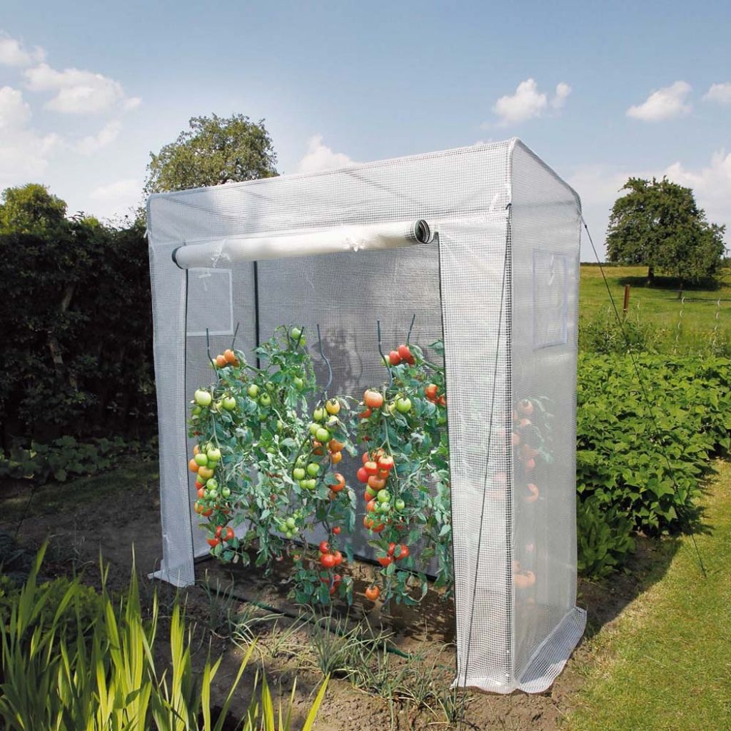 Roma Tomato Greenhouse 1.98 x 0.78 x 2 m